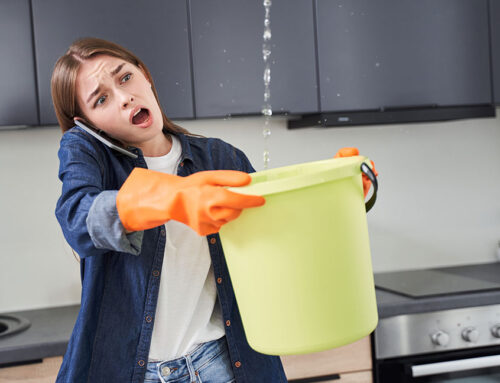 What Causes Leaks on Roofs — and How Can You Fix Them Without Replacing Everything?