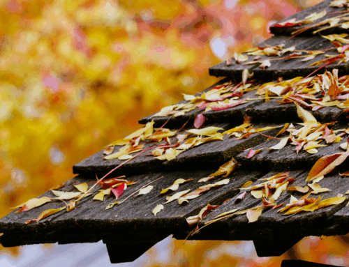 Roofing Business in Lawrence: What Homeowners Should Expect